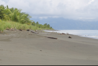 Platanares Beach Platanares Mangroves In Puerto Jimenez
 - Costa Rica