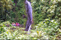 Foot Blue Morpho Waterfall Hanging Bridges Mistico Park
 - Costa Rica