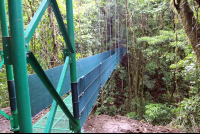 skywalk hangingbridge side view 
 - Costa Rica