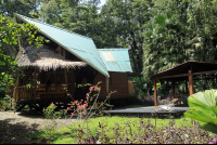 tree house lodge beach house 
 - Costa Rica