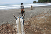 horseback beach puntaislita 
 - Costa Rica