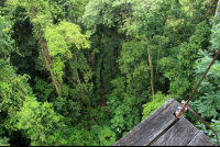 los suenos tallest platform 
 - Costa Rica