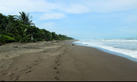 miss junies beach 
 - Costa Rica