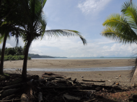 uvita beach attraction low tide 
 - Costa Rica