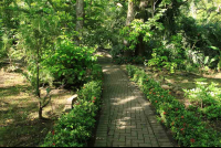 rainforest adventures gardens 
 - Costa Rica