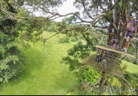 People Walking On A Tree Platform Blue River Zipline
 - Costa Rica