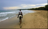 playa cocles horseback ride 
 - Costa Rica