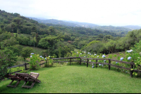 rancho makena views 
 - Costa Rica