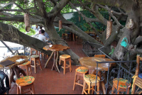 treehouse dining room 
 - Costa Rica