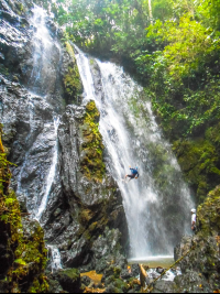 Horseback Rapelling Tour Rancho Tropical Matapalo Man Rappelling Middle
 - Costa Rica