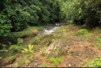 bijagual tour tarcolitos 
 - Costa Rica