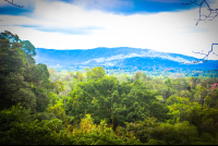 Mountain View Osa Palmas Canopy Tour
 - Costa Rica