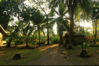 mawamba grounds 
 - Costa Rica