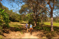 Horses To Curu Edit
 - Costa Rica