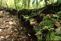 pocosol station trail 
 - Costa Rica