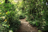 Monteverde train tour hiking path 
 - Costa Rica