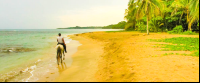 terraventuras beach horseback ride cocles 
 - Costa Rica