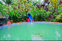 Blue River Resort Hot Spring Cement Pool With Water Slide
 - Costa Rica