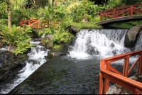 tabacon waterfall near top of the river 
 - Costa Rica