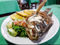 Whole Fish Front View Perla Del Sur Restaurant
 - Costa Rica