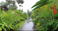 casa luna pathway 
 - Costa Rica