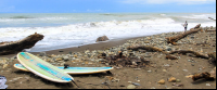 dominical beach attraction boards 
 - Costa Rica