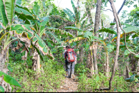 La Leona Second Growth Forest
 - Costa Rica