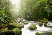 river waterfallgardens 
 - Costa Rica