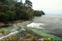 caribbean adventure snorkeling dolphin watching punta mona coast 
 - Costa Rica