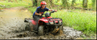 fourtrax puddle 
 - Costa Rica