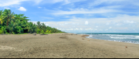 tortuguero beach attraction sand 
 - Costa Rica