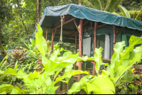 La Leona Tent Cabin Exterior Costa Rica
 - Costa Rica