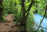 rio celeste trail river 
 - Costa Rica