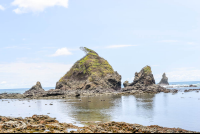 La Chancha Point From Sirena To La Leona Ranger Station
 - Costa Rica