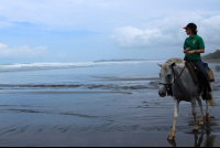 discovery horseback tour beach closeup 
 - Costa Rica