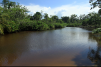 cahuita national park attraction page lagoon 
 - Costa Rica