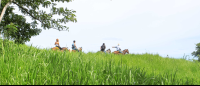 Three Tourist At A Mountain Ridge Horseback Riding
 - Costa Rica