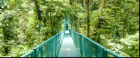 selvetura hanging bridge 
 - Costa Rica