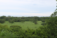 sibu sanctuary grounds 
 - Costa Rica