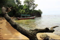 caribbean adventure snorkeling dolphin watching boat 
 - Costa Rica