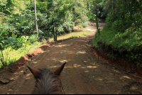 bijagual tour horseback 
 - Costa Rica