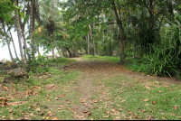 playa chiquita path 
 - Costa Rica