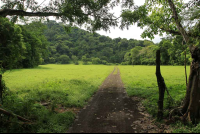 discovery horseback tour pasture 
 - Costa Rica