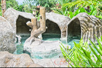 Los Lagos Hot Springs Cave Shaped Cement Pool
 - Costa Rica