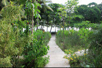 Beach Access
 - Costa Rica