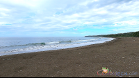 atv nosara tour ostional black beach sands
 - Costa Rica