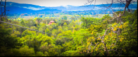 View From Last Platform Osa Palmas Canopy Tour
 - Costa Rica