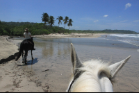 horse trailing behind pelada
 - Costa Rica