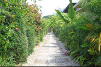 pathway hotel nautilius santa teresa 
 - Costa Rica