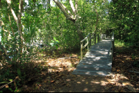 cahuita national park snorkeling hiking tour marsh bridge 
 - Costa Rica